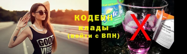 mdpv Елизово