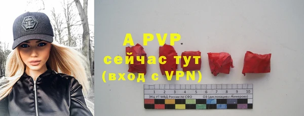 крисы Дмитриев
