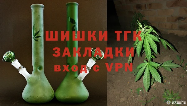 шишки Заводоуковск