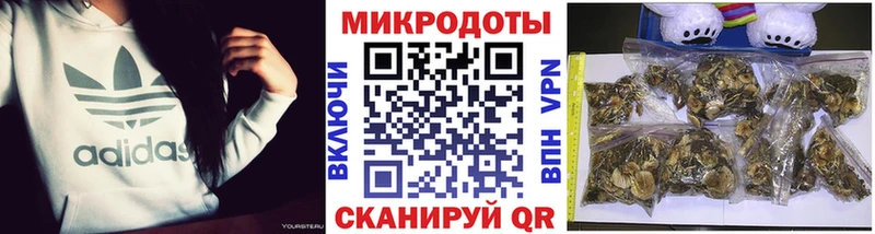 как найти закладки  MEGA ссылки  Псилоцибиновые грибы Cubensis  Карачев 
